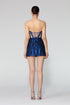 Heart Neck Transparent Bustier Mini Dress